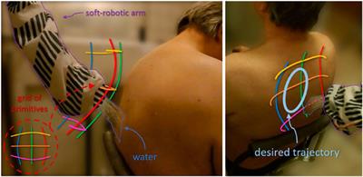 Zero-shot model-free learning of periodic movements for a bio-inspired soft-robotic arm